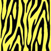 Yellow Zebra Image